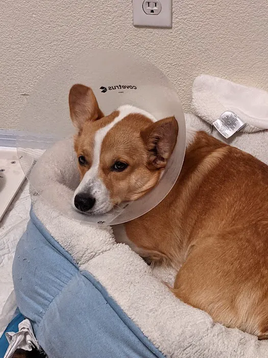 The ASPCA Los Angeles Spay/Neuter Clinic 5