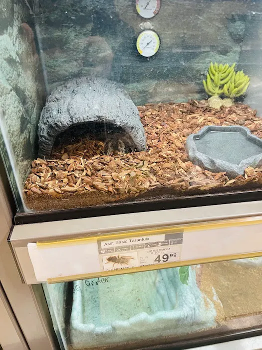 Petco 12
