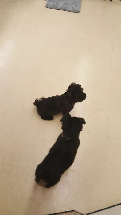 Petco 12
