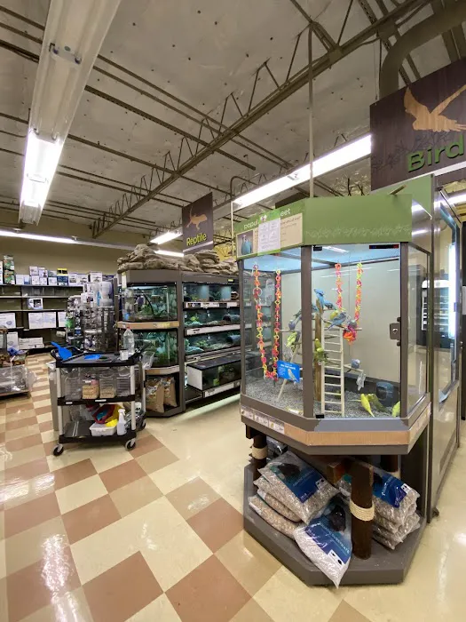 Petco 12
