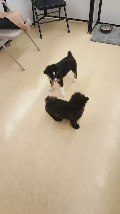 Petco 12