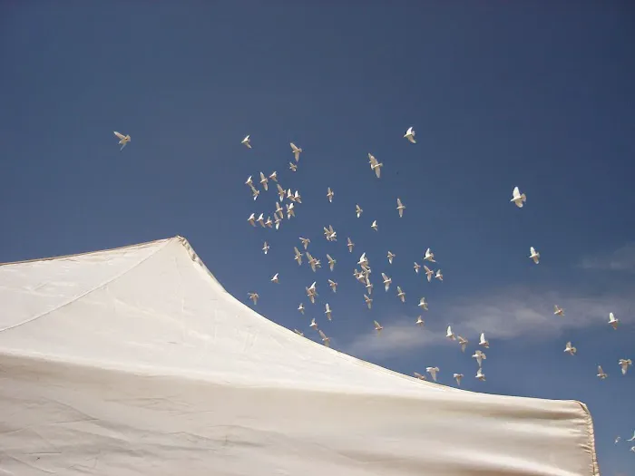 The Front Range Birding Company 12