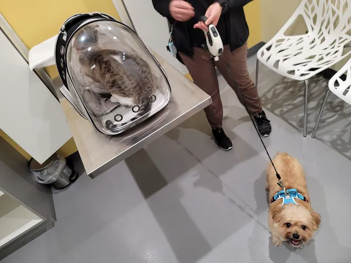 Grand Park Animal Hospital 1