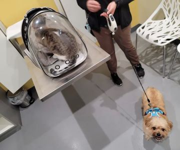 Grand Park Animal Hospital