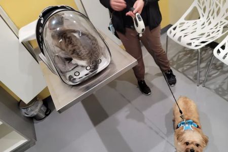 Grand Park Animal Hospital