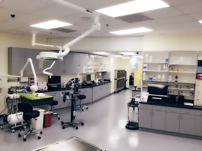Grand Park Animal Hospital 9