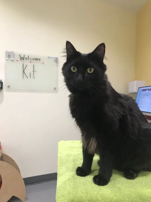 Grand Park Animal Hospital 5