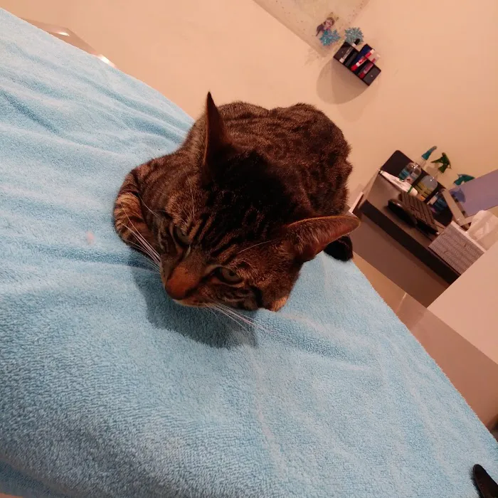 Grand Park Animal Hospital 7