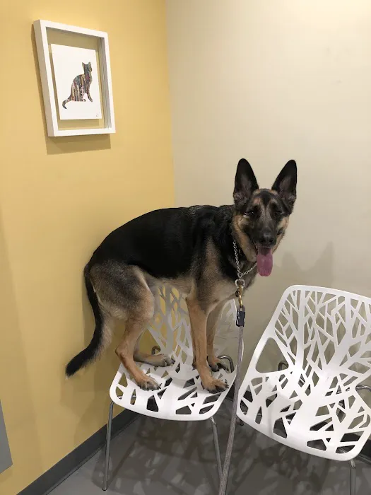 Grand Park Animal Hospital 4