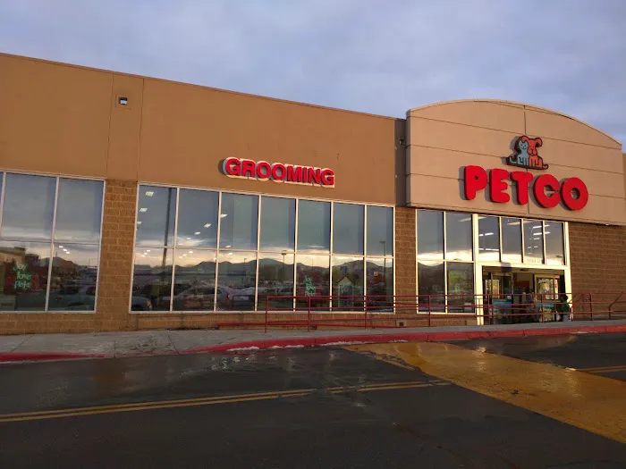 Petco 12