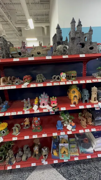 Petco 12