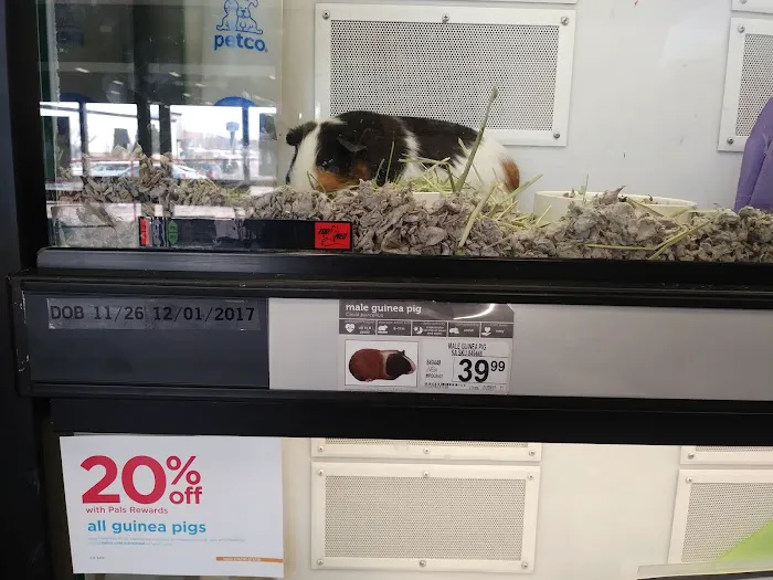 Petco 12