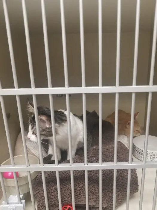 Petco 12