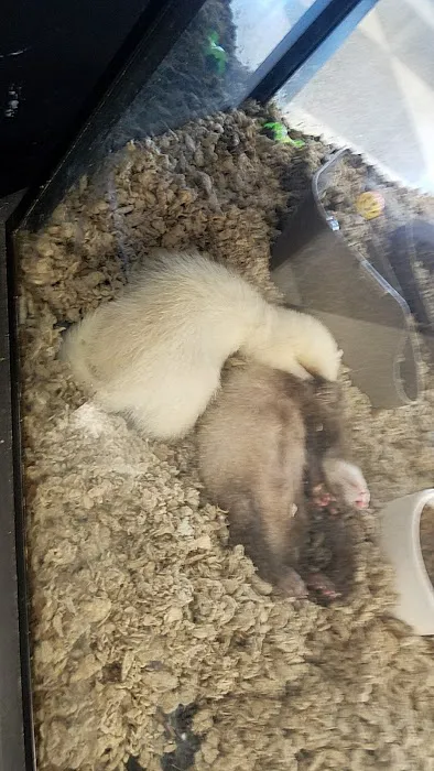 Petco 12