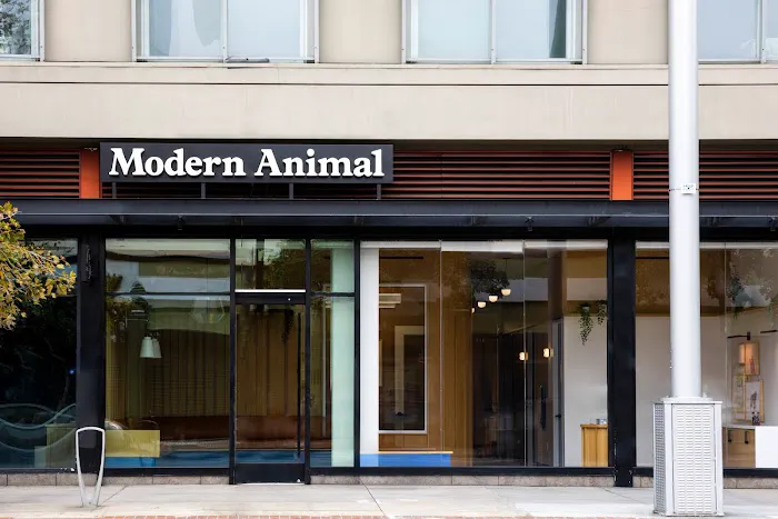 Modern Animal 12
