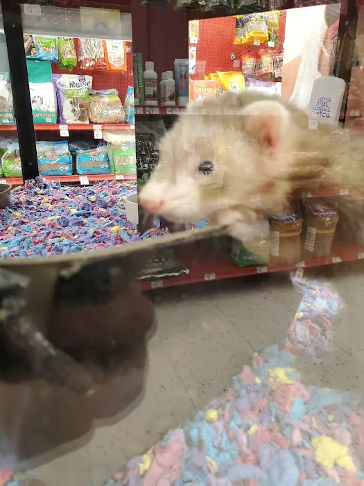 Petco 12