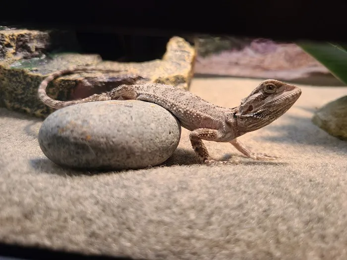 Petco 12