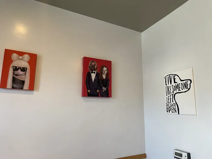 Los Angeles Veterinary Center 4