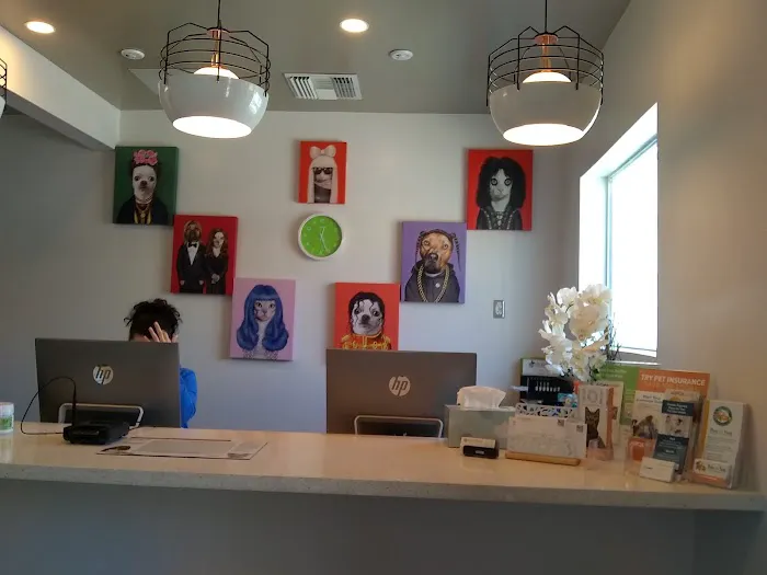 Los Angeles Veterinary Center 3