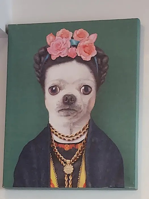 Los Angeles Veterinary Center 10