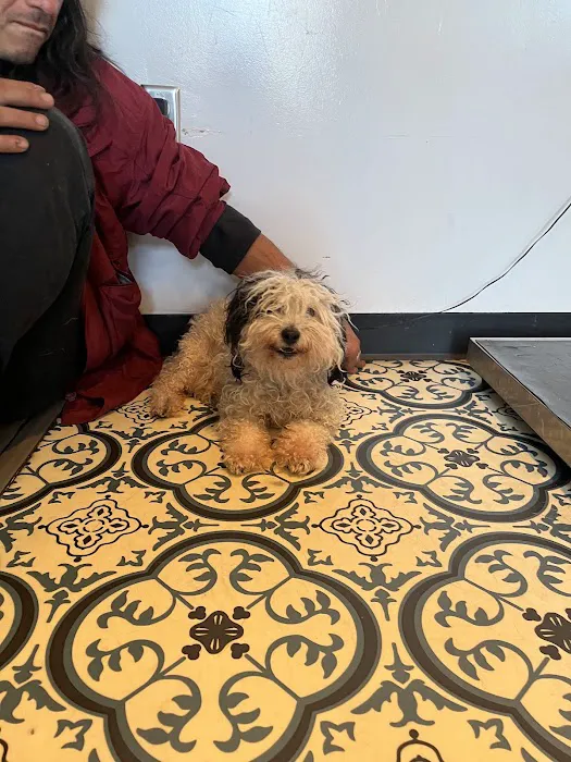 Los Angeles Veterinary Center 7