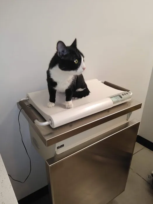 Los Angeles Veterinary Center 1