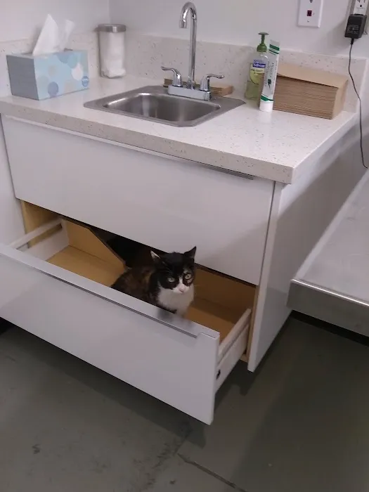 Los Angeles Veterinary Center 2