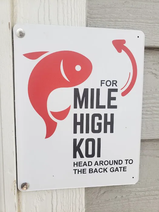 Mile High Koi 12