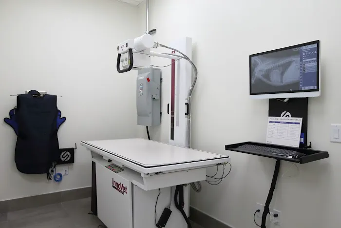BeWell Animal Hospital 7