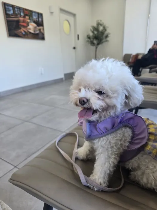 BeWell Animal Hospital 8