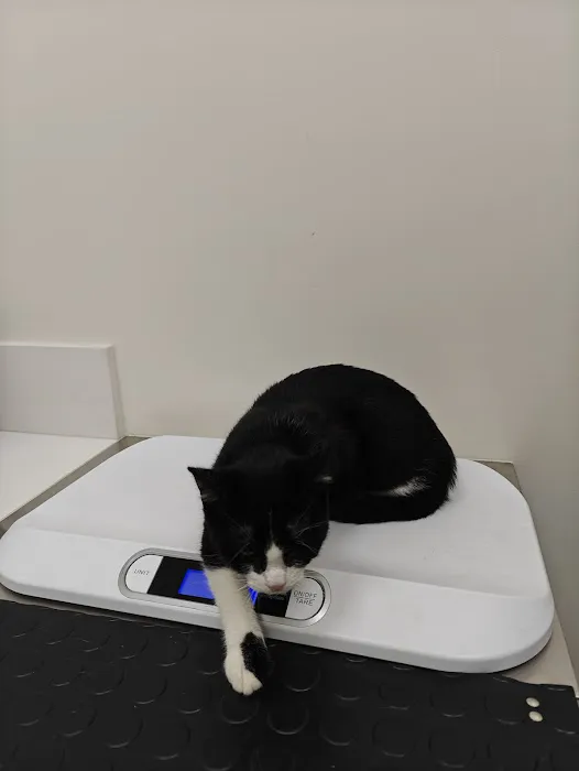 BeWell Animal Hospital 1