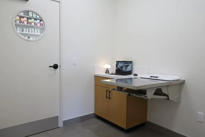 BeWell Animal Hospital 5