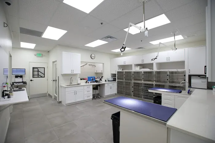BeWell Animal Hospital 10