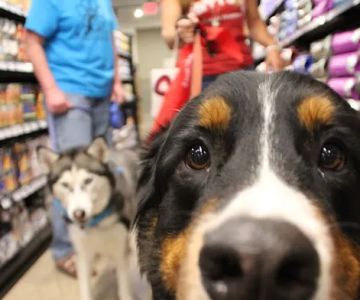Chuck & Don's Pet Food & Supplies
