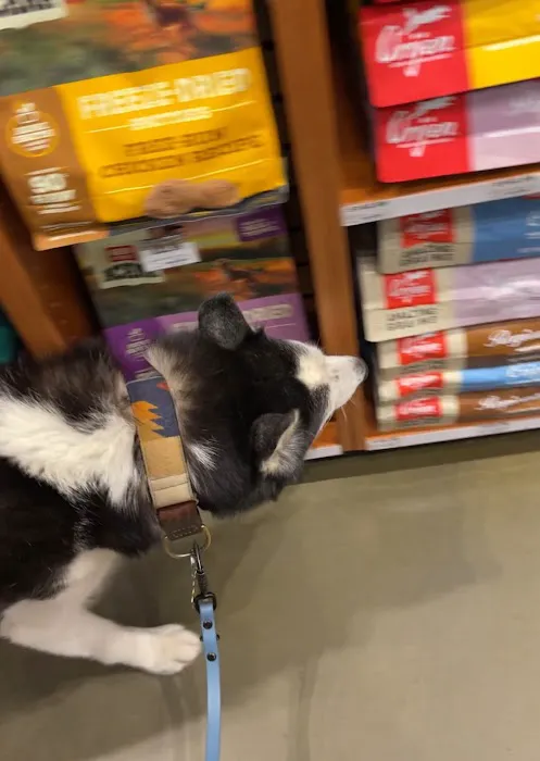 Kriser's Natural Pet 12