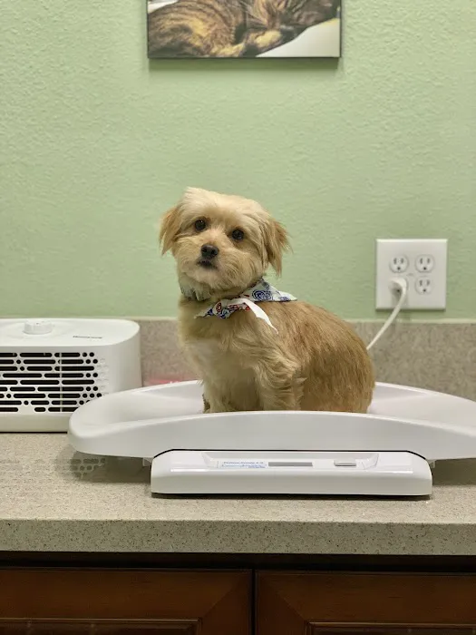 Quality Animal Clinic 8