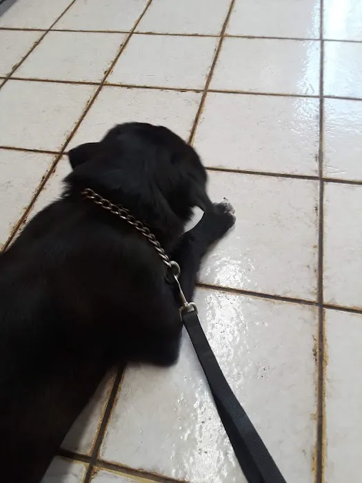 Angeles Vista Pet Medical Center 1