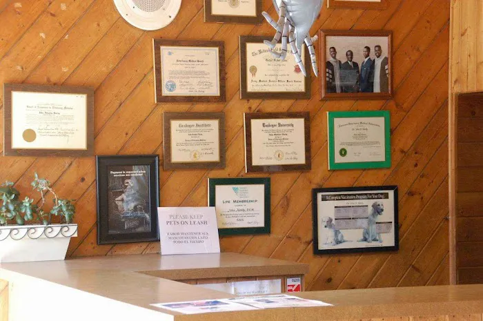 Angeles Vista Pet Medical Center 10