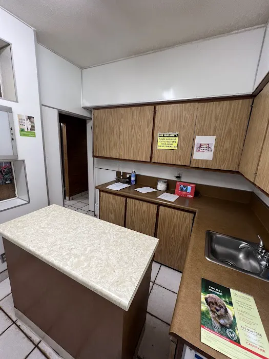Angeles Vista Pet Medical Center 5