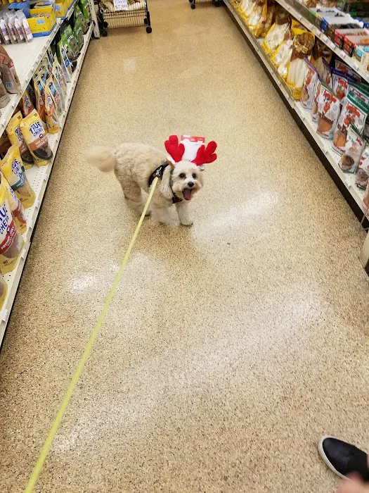 Pets N' Stuff 12