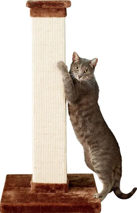 Pets N' Stuff 12