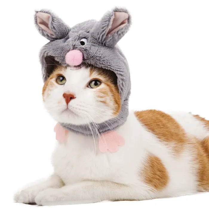 Pets N' Stuff 12