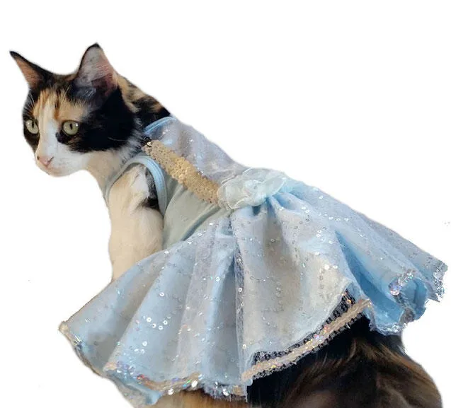 Pets N' Stuff 12