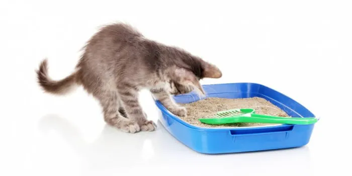 Pets N' Stuff 12
