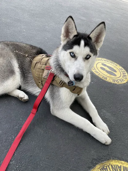 Centinela Animal Hospital 5