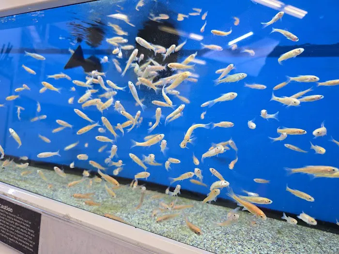 Petco 12