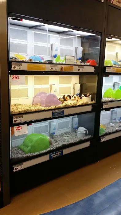 Petco 12