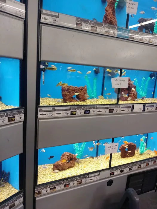 Petco 12