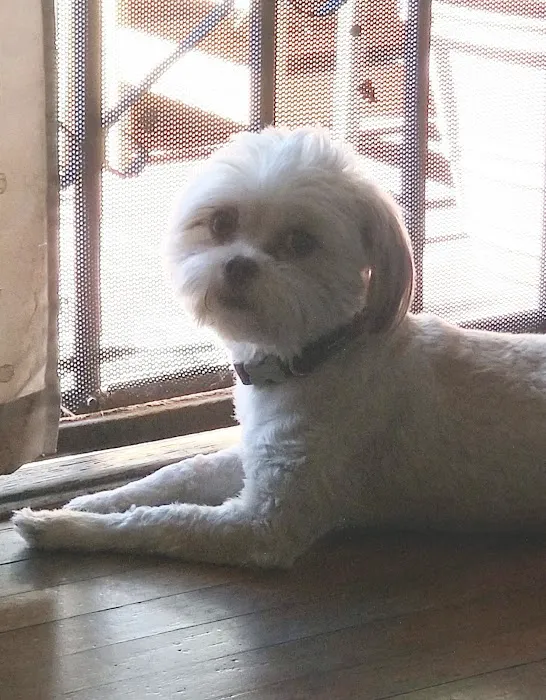 Monterey Park Animal Hospital - Rajendra Sanathara DVM, Nisha Sanathara DVM 1