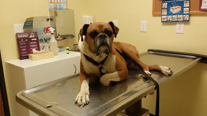 Monterey Park Animal Hospital 8